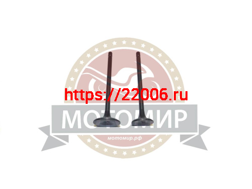 Клапан впускной/выпускной СG125 156/157FMI Хантер (d24/h93мм d29/h93,5мм) (компл) Клапан впускной/выпускной СG125 156/157FMI Хантер (d24/h93мм d29/h93,5мм) (компл)