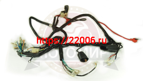 Проводка центральная скутер CITY PG (087)