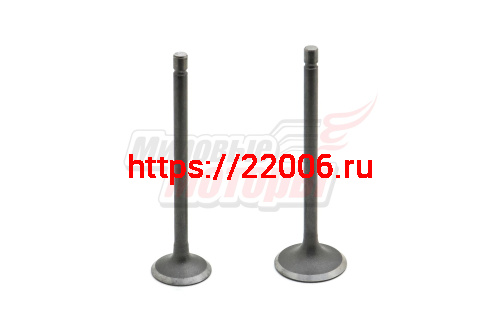 Клапаны (впуск/выпуск) 157FMI 125см3 Клапаны (впуск/выпуск) 157FMI 125см3