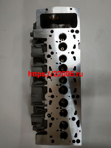 Головка блока цилиндров VW T5/Touareg 2.5TDi (HD44163) Головка блока цилиндров VW T5/Touareg 2.5TDi (HD44163)