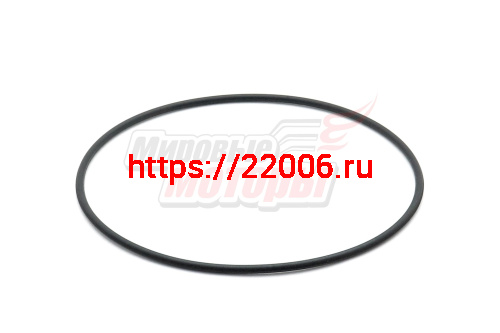 Кольцо уплотнительное (340.08.0.3013) между корпусом и фильтром МБ Агро