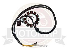 Зажигание 157FMI голое (без маховика) 12 катушек Трицикл Lifan (магнето)